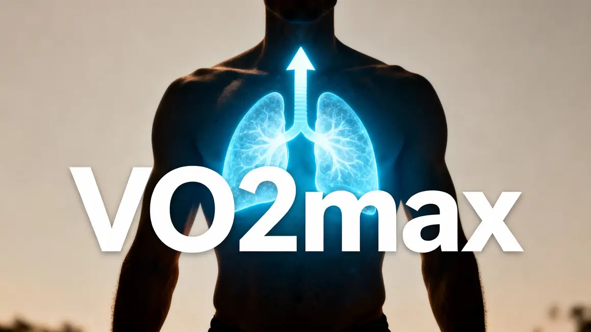 Schéma silhouette flèche poumons VO2max endurance